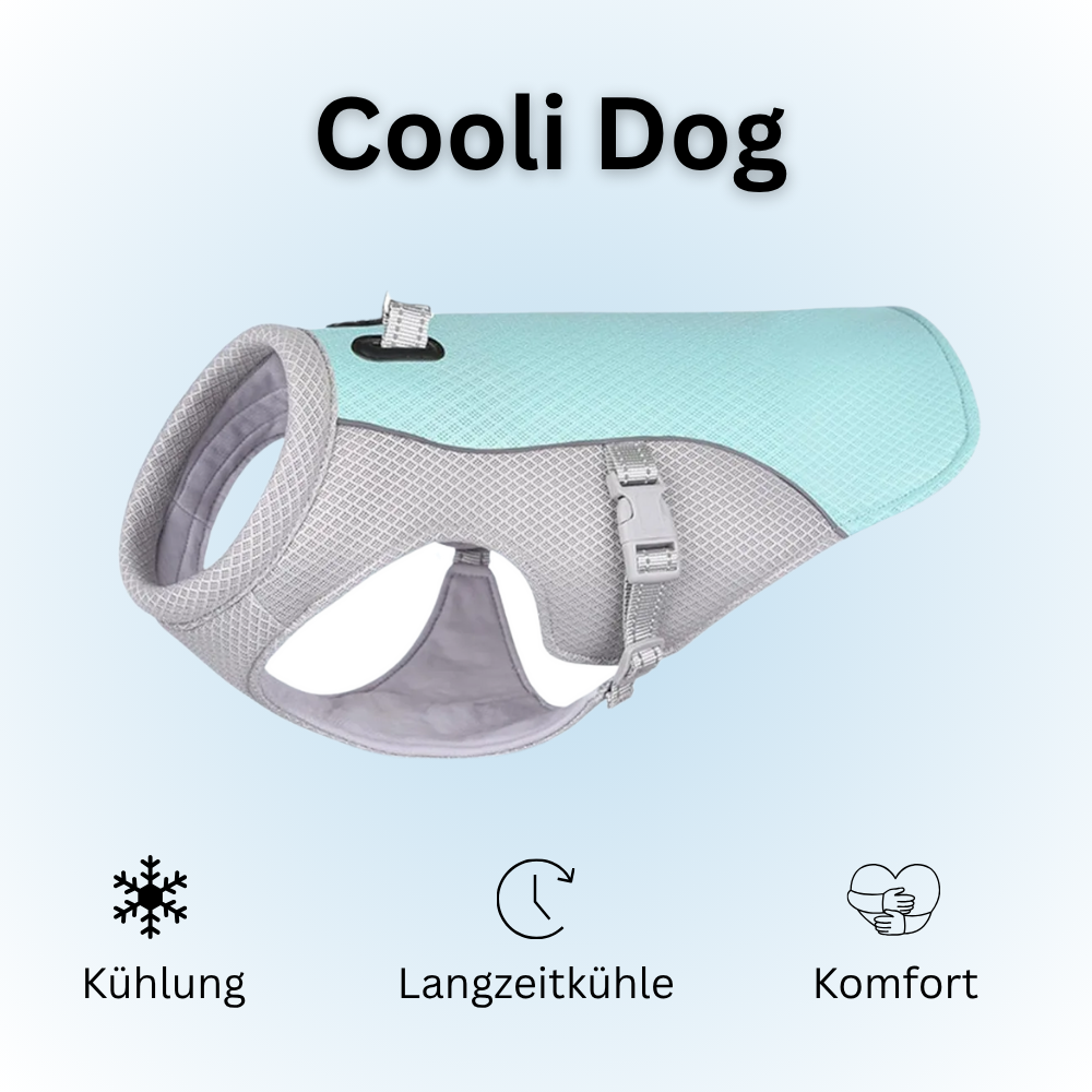 Cooli Dog