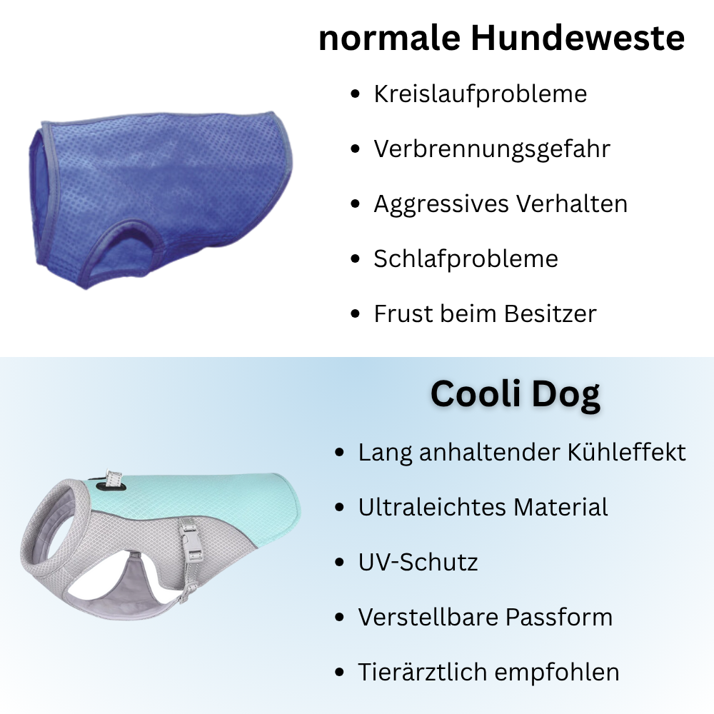 Cooli Dog