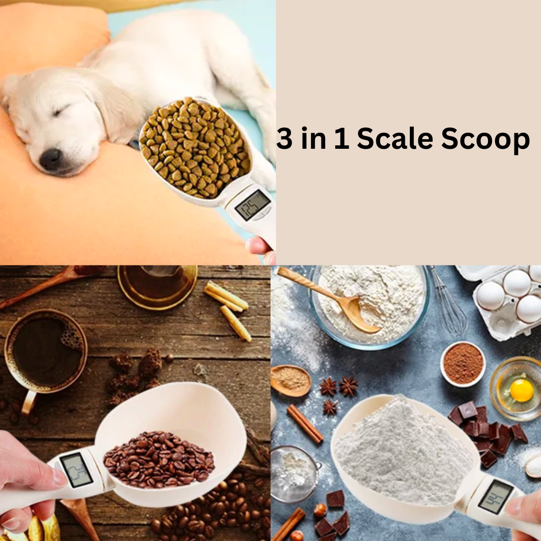 Scale Scoop