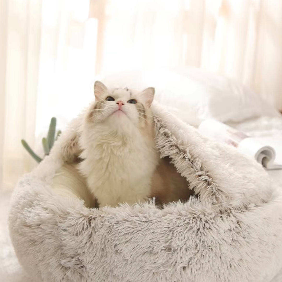 Cat Nap