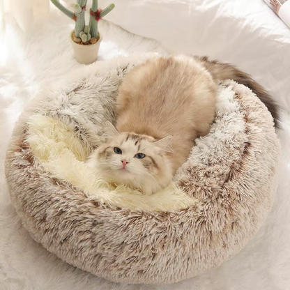 Cat Nap