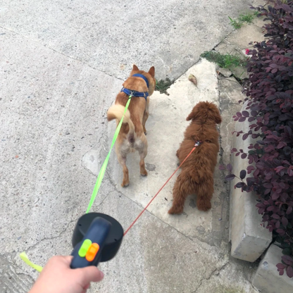 Twin Paws Leash